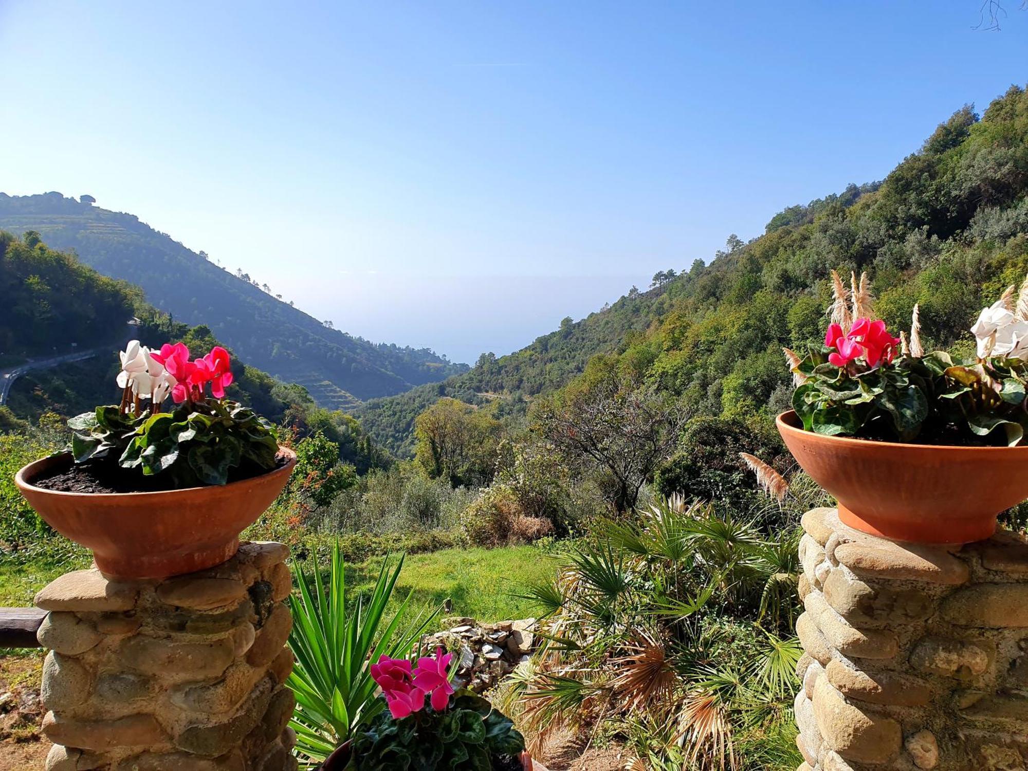 ורנאצה Agriturismo Costa Di Campo מראה חיצוני תמונה
