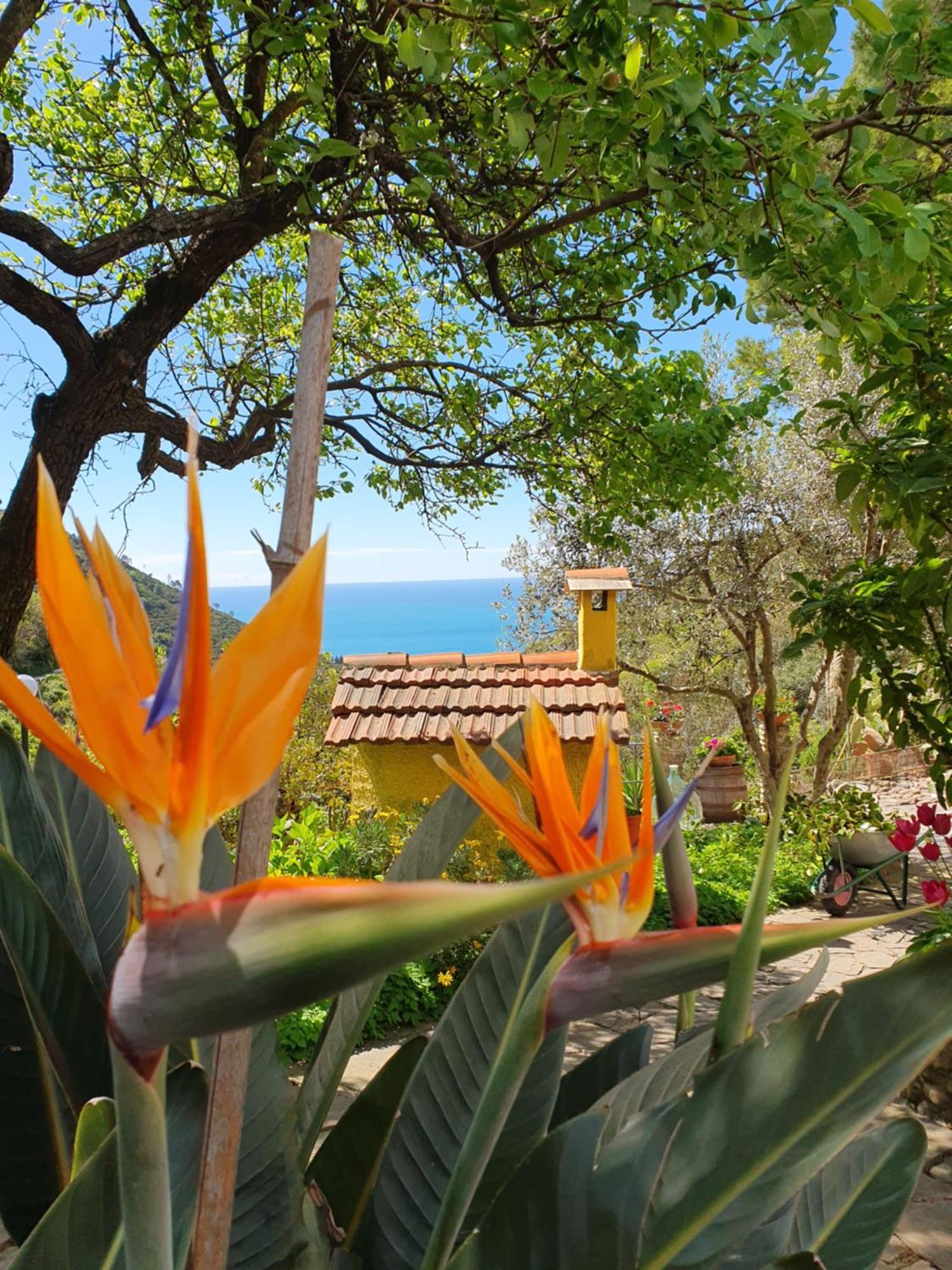 ורנאצה Agriturismo Costa Di Campo מראה חיצוני תמונה
