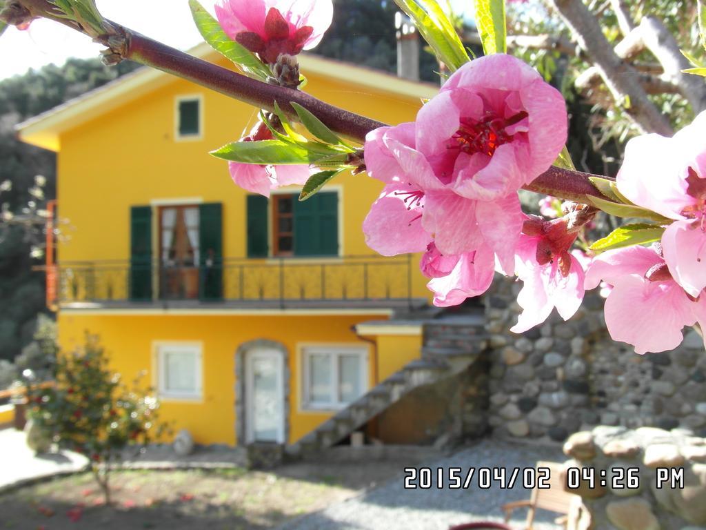ורנאצה Agriturismo Costa Di Campo מראה חיצוני תמונה