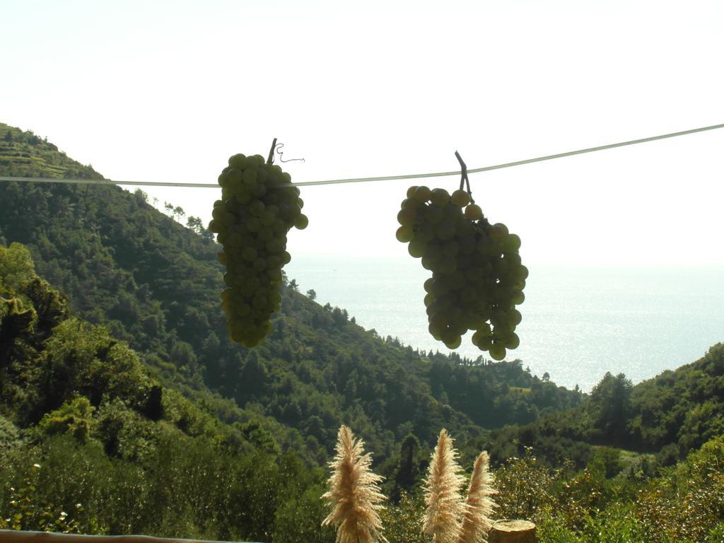 ורנאצה Agriturismo Costa Di Campo מראה חיצוני תמונה