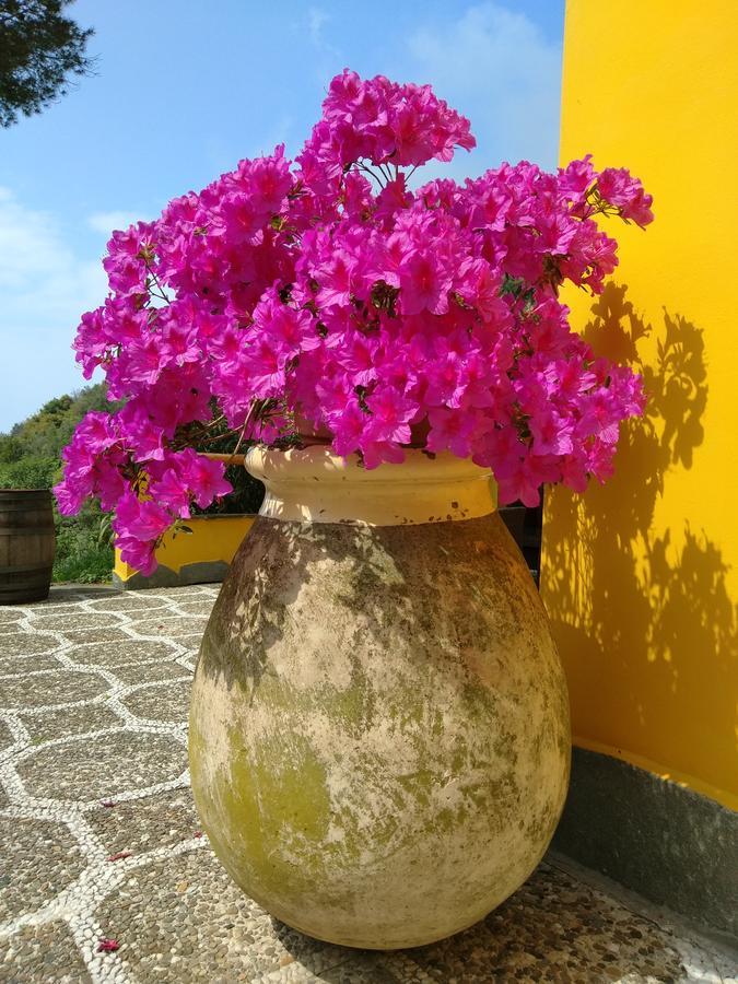 ורנאצה Agriturismo Costa Di Campo מראה חיצוני תמונה