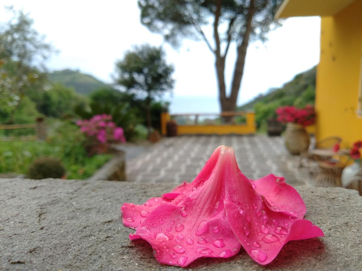 ורנאצה Agriturismo Costa Di Campo מראה חיצוני תמונה