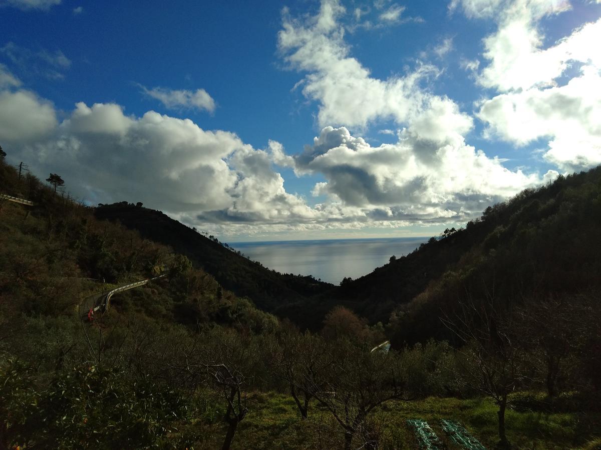 ורנאצה Agriturismo Costa Di Campo מראה חיצוני תמונה