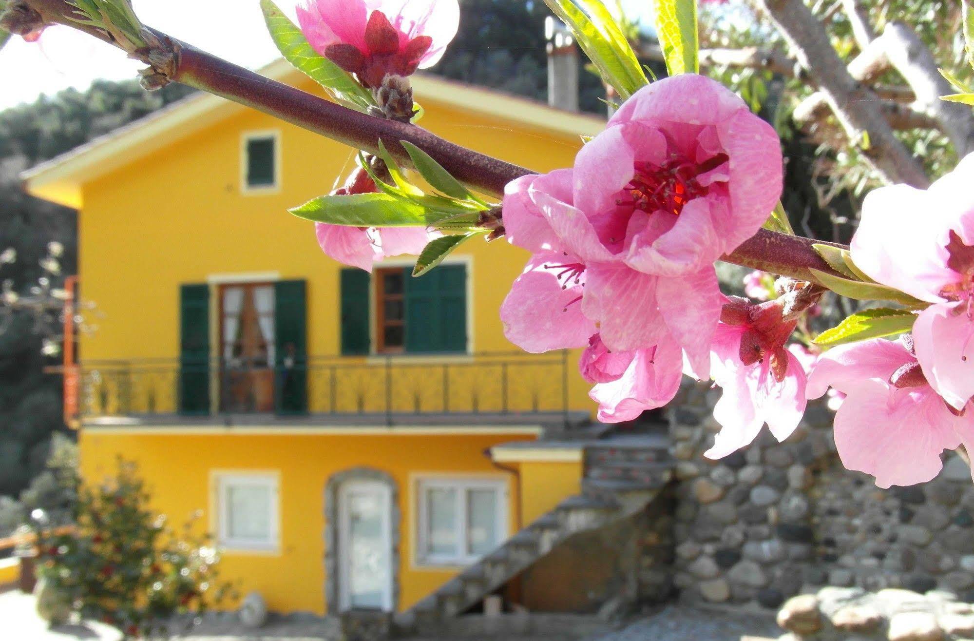 ורנאצה Agriturismo Costa Di Campo מראה חיצוני תמונה