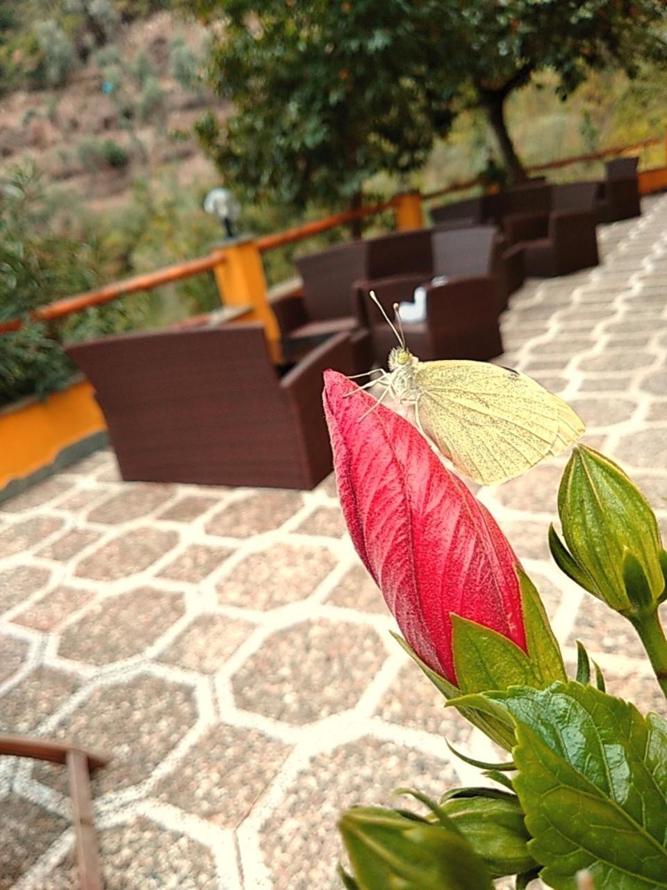 ורנאצה Agriturismo Costa Di Campo מראה חיצוני תמונה