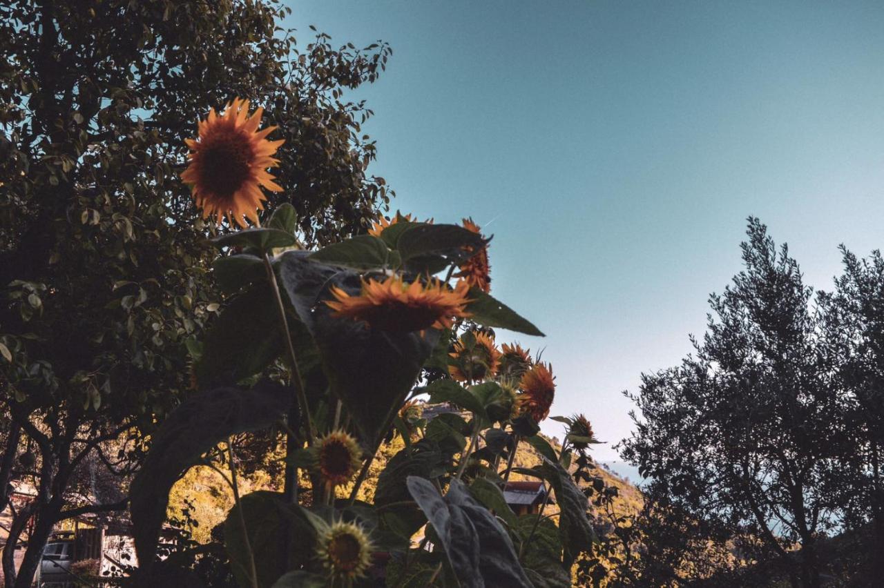ורנאצה Agriturismo Costa Di Campo מראה חיצוני תמונה